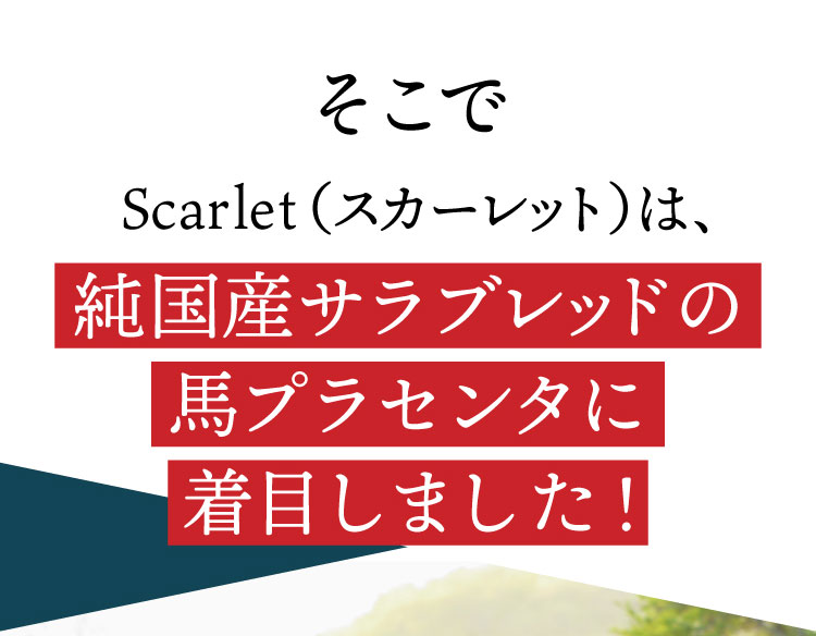 サプリメント Scarlet スカーレットは純国産サラブレッドの馬プラセンタに着目しました！